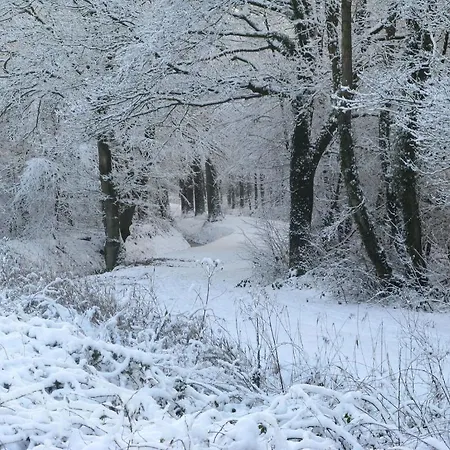 De Kasteelboerderij Appartamento *